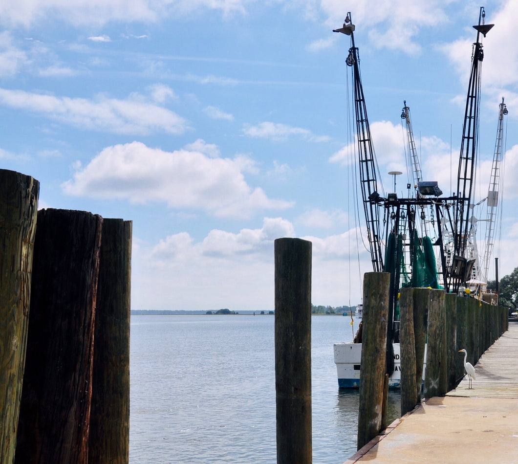 SHRIMP BOAT